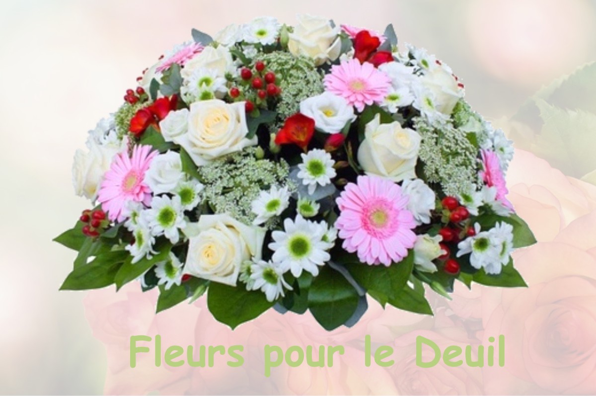 fleurs deuil SAINT-JEAN-DE-BONNEVAL